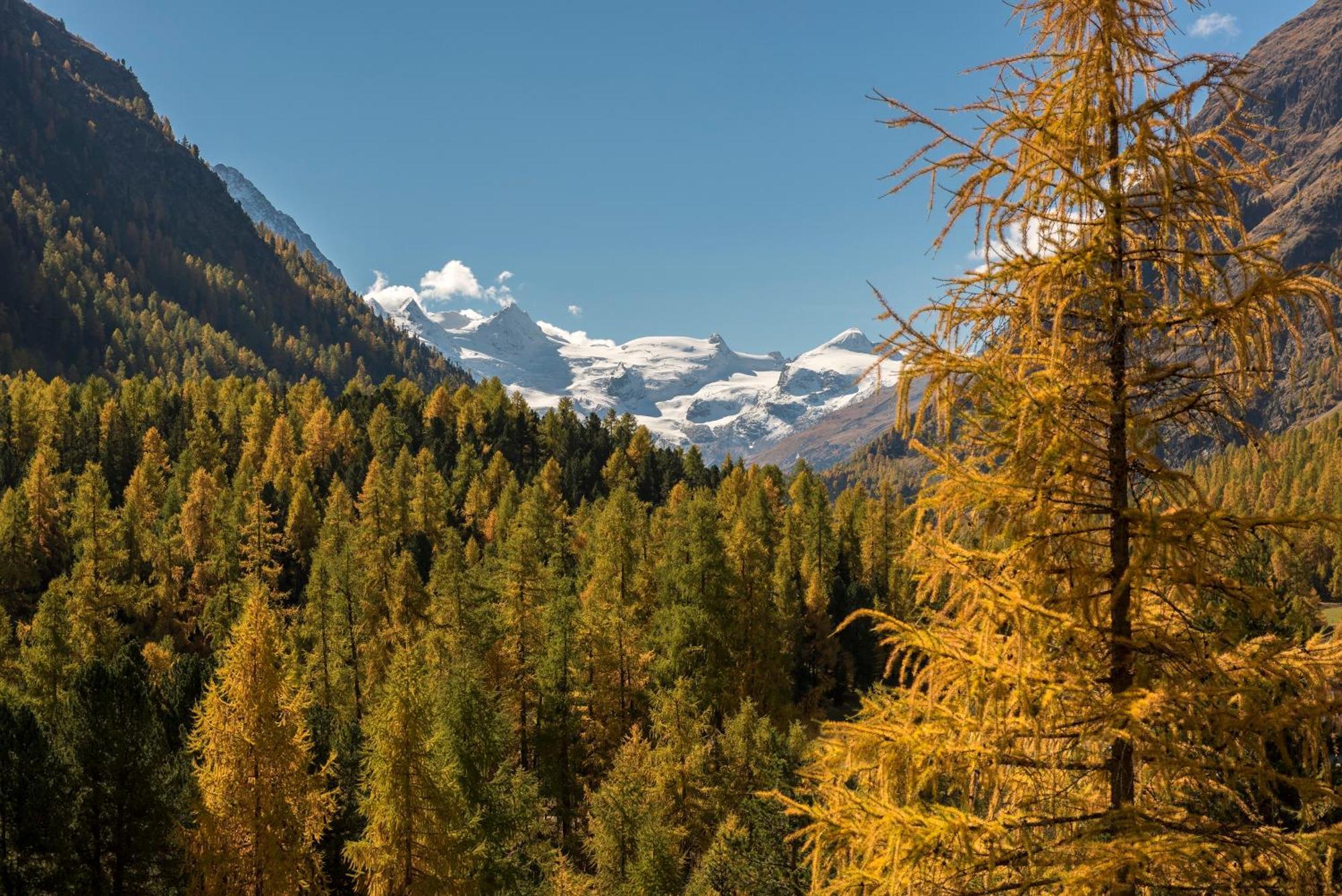 Hotel Saratz Pontresina Exterior photo